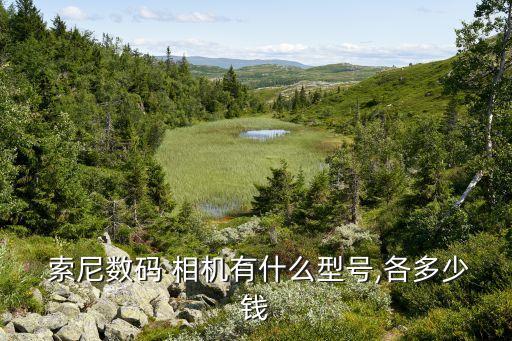 索尼相機最便宜的多少錢,索尼推出數碼相機最低只有2200元...